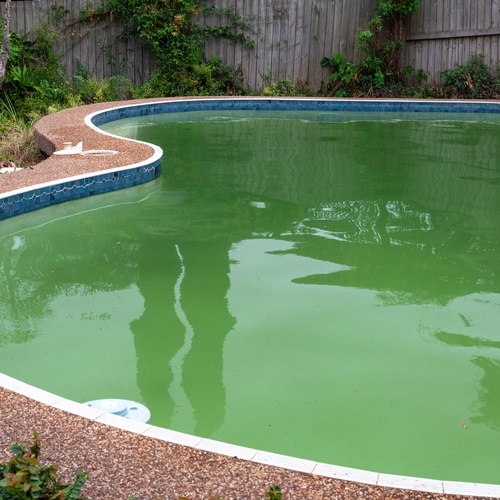 Green Pool Cleanup